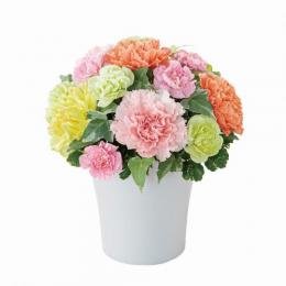 グラマラス(カラフル)