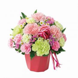 カーネーションのハミングアレンジメント(ピンク)