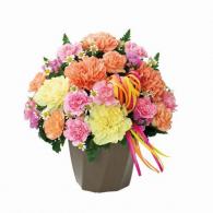 カーネーションのハミングアレンジメント(オレンジ)